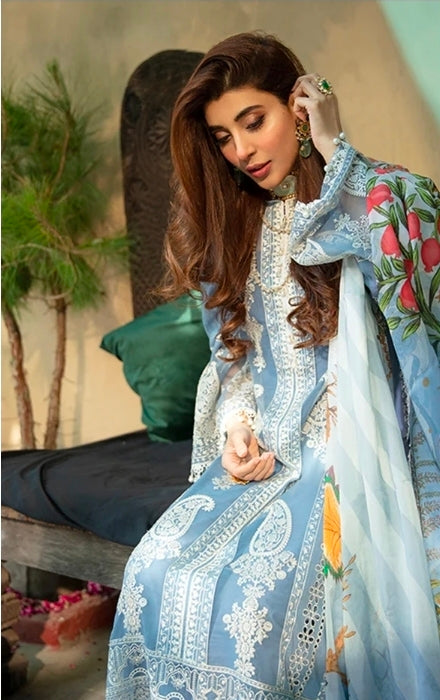 BinIlyas D17-B | 3 PC Lawn – Full Chikankari | 101% Original