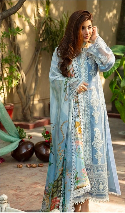 BinIlyas D17-B | 3 PC Lawn – Full Chikankari | 101% Original