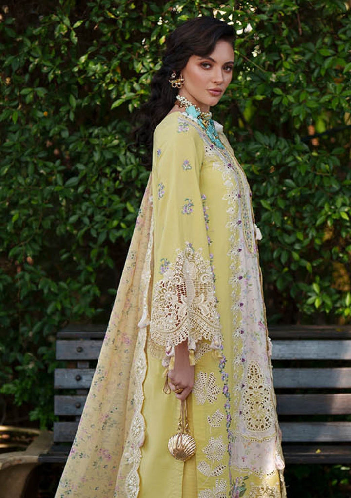 Lawn - AJR - EVARA - AJR-E-02 - Kaia