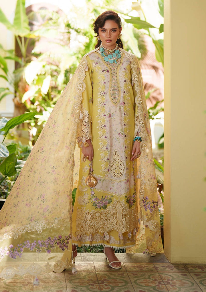 Lawn - AJR - EVARA - AJR-E-02 - Kaia